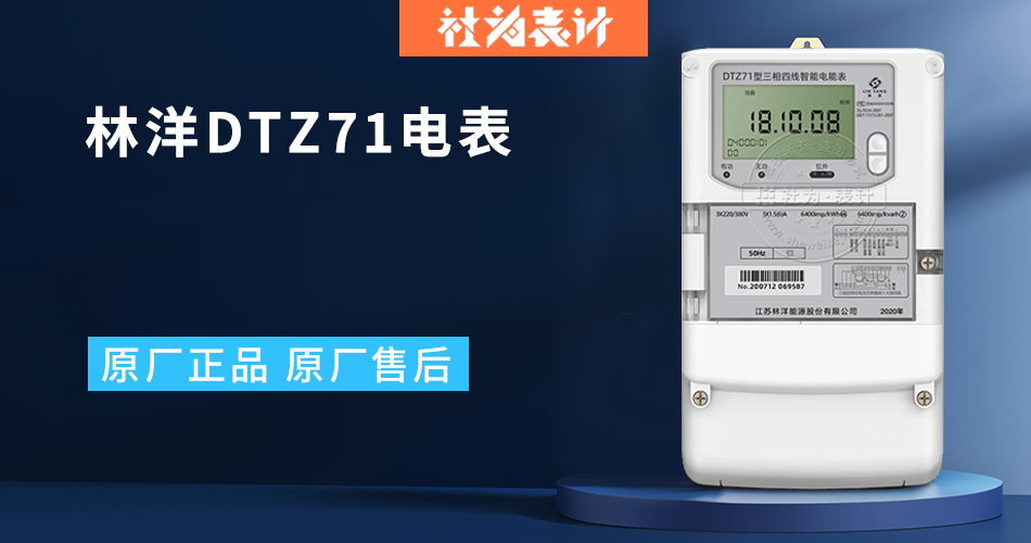 林洋DTZ71电表