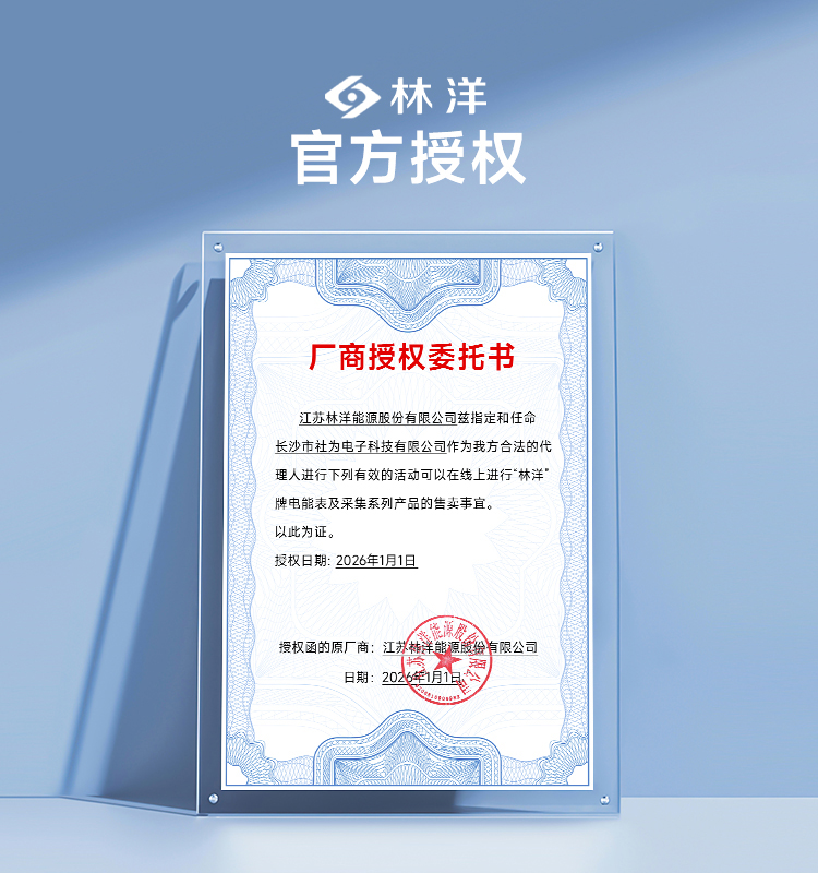 林洋+社为国网表详情-社为电子_02.jpg